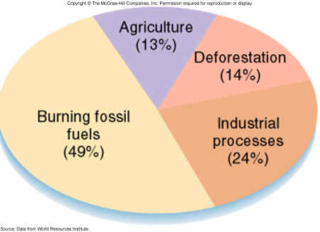 statistics human activities loss fossil chart because effects extinct much habitats fuels each burning weebly